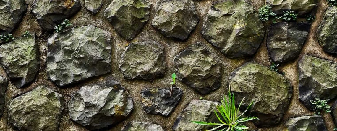 Küçük Bir Site Nasıl Tanıtılır: İçerik, Sosyal & Link Oluşturma